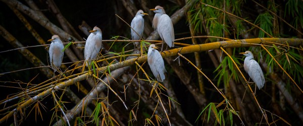 photo by Greg Waddell
